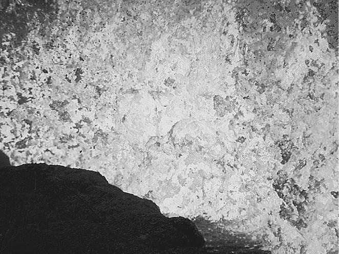 Иллюстрация к книге — 100 великих загадок природы [i_019.jpg]