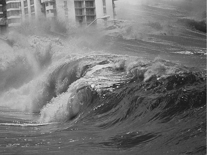 Иллюстрация к книге — 100 великих загадок природы [i_022.jpg]