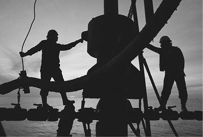 Иллюстрация к книге — 100 великих загадок природы [i_030.jpg]