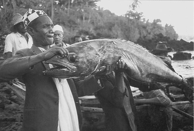 Иллюстрация к книге — 100 великих загадок природы [i_046.jpg]