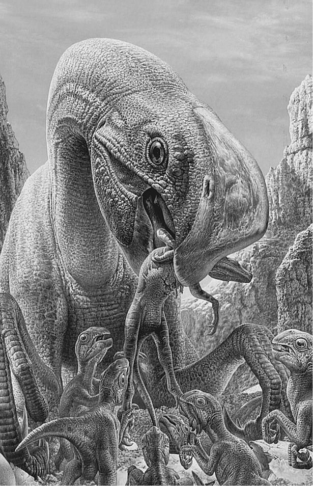 Иллюстрация к книге — 100 великих загадок природы [i_049.jpg]