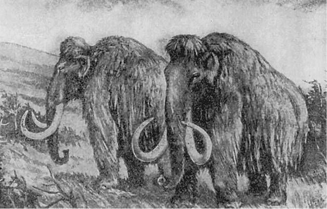 Иллюстрация к книге — 100 великих загадок природы [i_050.jpg]