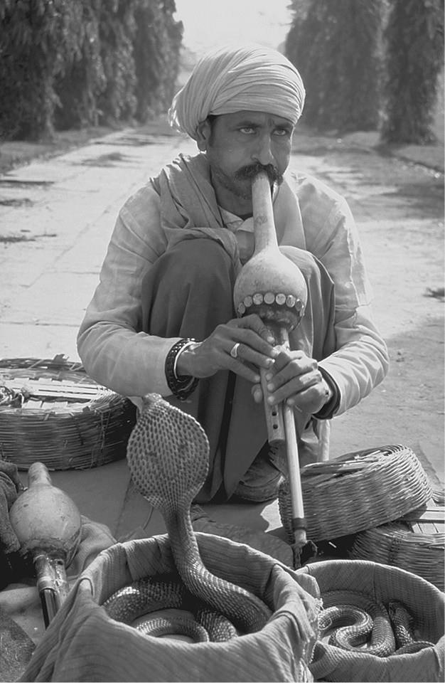 Иллюстрация к книге — 100 великих загадок природы [i_064.jpg]