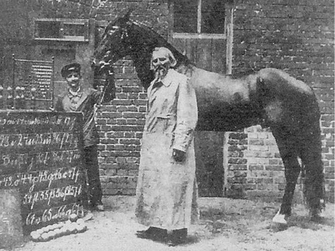 Иллюстрация к книге — 100 великих загадок природы [i_071.jpg]