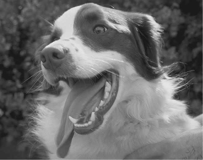 Иллюстрация к книге — 100 великих загадок природы [i_077.jpg]