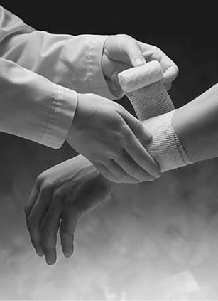 Иллюстрация к книге — 100 великих загадок природы [i_081.jpg]