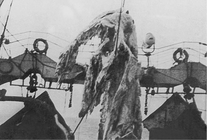 Иллюстрация к книге — 100 великих загадок природы [i_087.jpg]