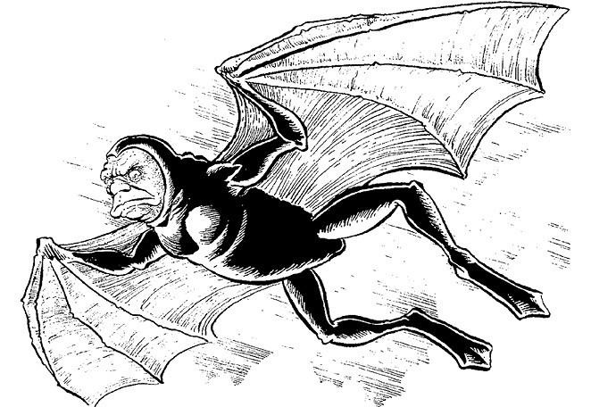 Иллюстрация к книге — 100 великих загадок природы [i_089.jpg]