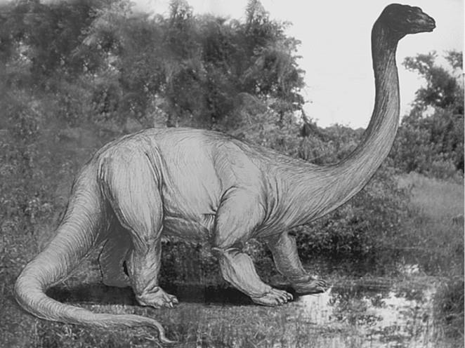 Иллюстрация к книге — 100 великих загадок природы [i_095.jpg]