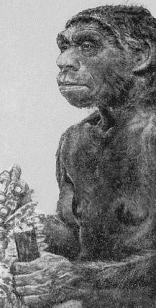 Иллюстрация к книге — 100 великих загадок природы [i_098.jpg]