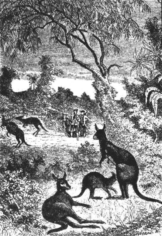 Иллюстрация к книге — 100 великих географических открытий [_73.jpg]