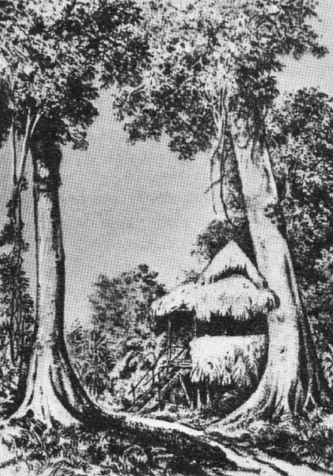 Иллюстрация к книге — 100 великих географических открытий [_92.jpg]