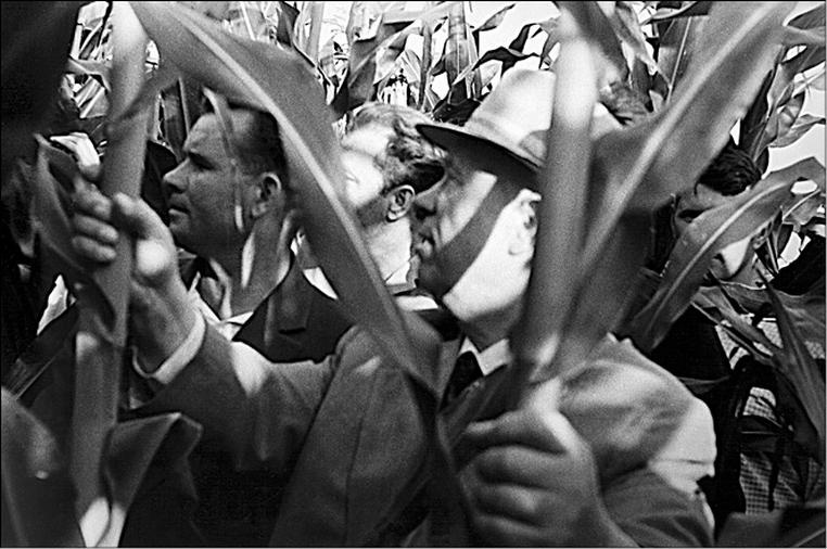 Иллюстрация к книге — Реформатор [i_031.jpg]