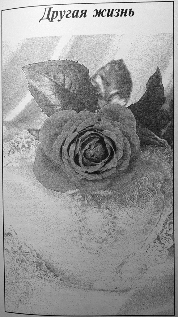 Иллюстрация к книге — В кольце твоих рук [i_004.jpg]