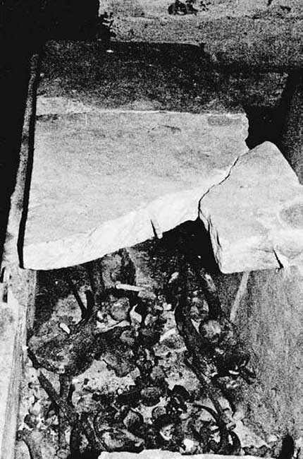 Иллюстрация к книге — Правильно ли мы понимаем историю Европы и Азии? Книга III [i_002.jpg]