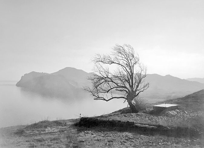 Иллюстрация к книге — Марина Цветаева. Беззаконная комета [i_032.jpg]