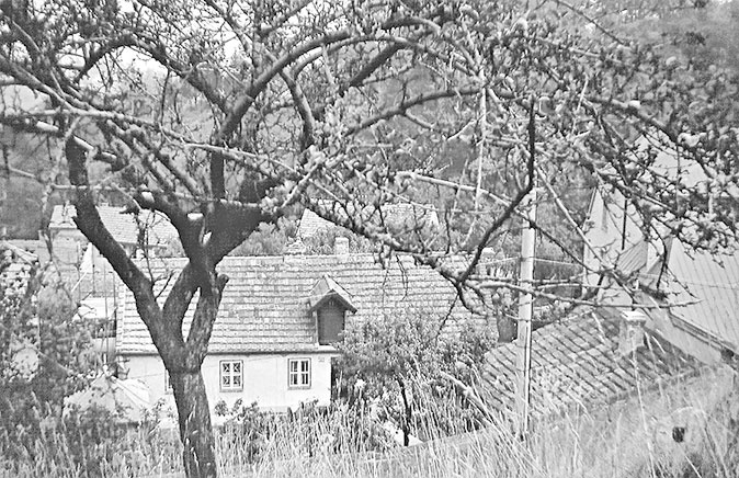 Иллюстрация к книге — Марина Цветаева. Беззаконная комета [i_130.jpg]