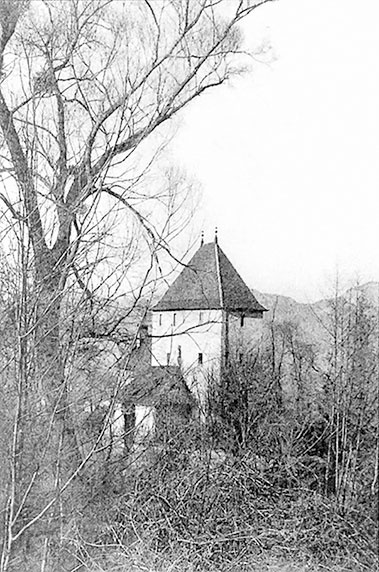 Иллюстрация к книге — Марина Цветаева. Беззаконная комета [i_239.jpg]