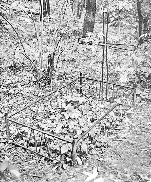 Иллюстрация к книге — Марина Цветаева. Беззаконная комета [i_303.jpg]