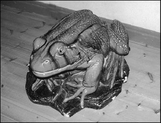 Иллюстрация к книге — Русская Финляндия [i_067.jpg]