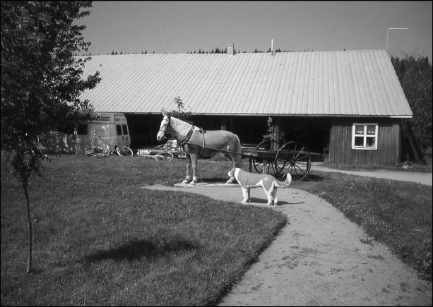 Иллюстрация к книге — Русская Финляндия [i_085.jpg]
