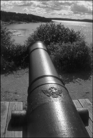 Иллюстрация к книге — Русская Финляндия [i_117.jpg]