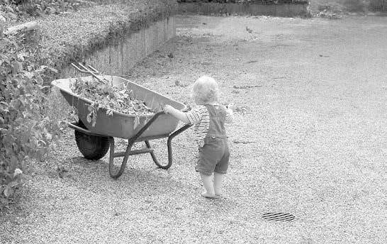 Иллюстрация к книге — Компетентный малыш [i_002.jpg]