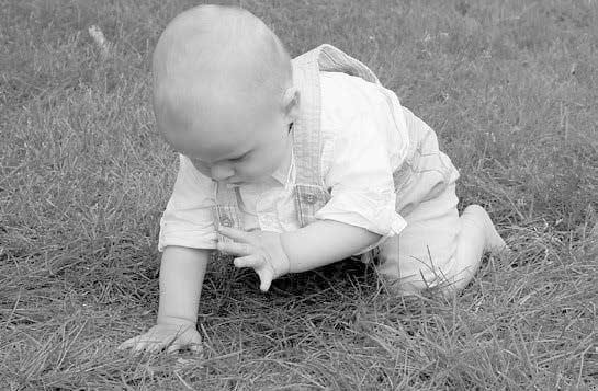 Иллюстрация к книге — Компетентный малыш [i_012.jpg]