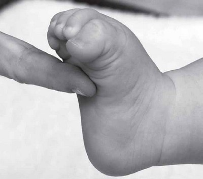 Иллюстрация к книге — PEKiP. Игра и движение. Более 100 развивающих игр для детей первого года жизни [i_022.jpg]