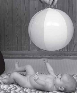 Иллюстрация к книге — PEKiP. Игра и движение. Более 100 развивающих игр для детей первого года жизни [i_036.jpg]