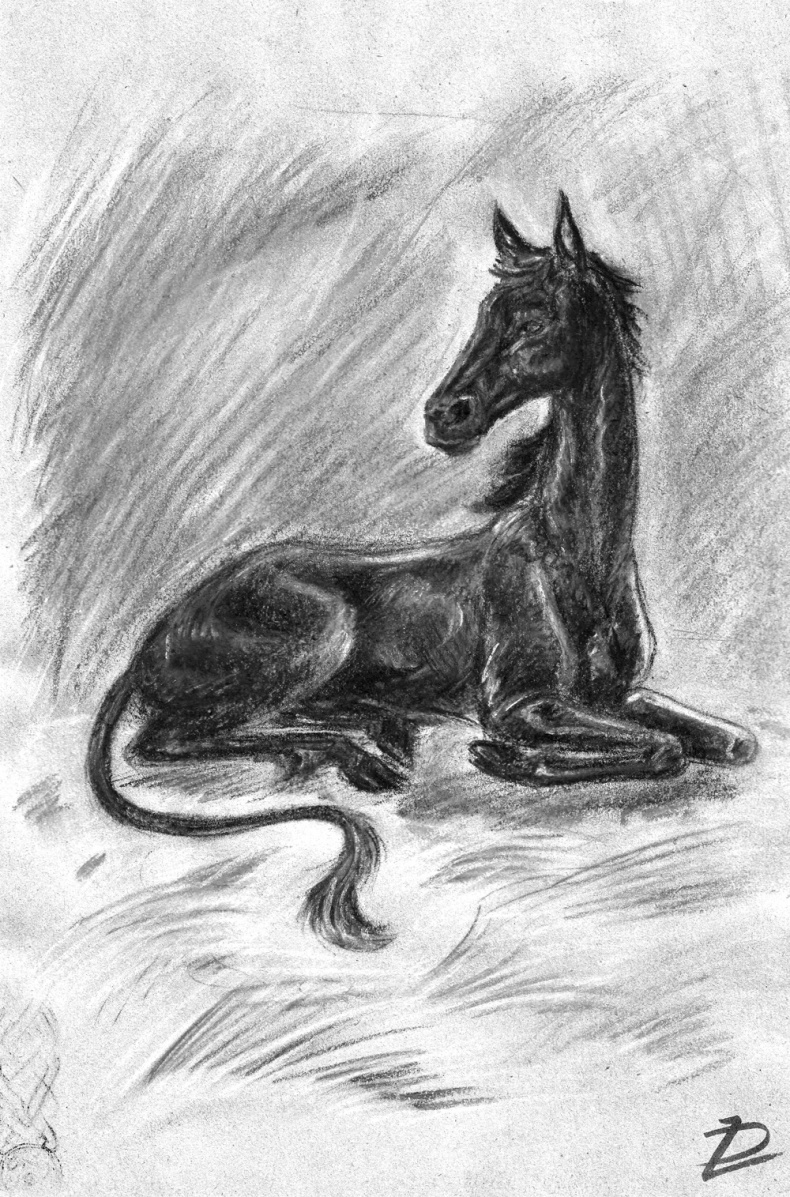 Иллюстрация к книге — Белая ворона [_2.jpg]