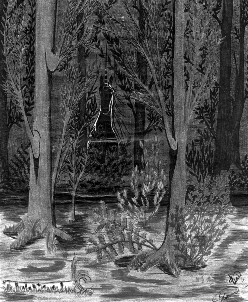 Иллюстрация к книге — Белая ворона [_7.jpg]