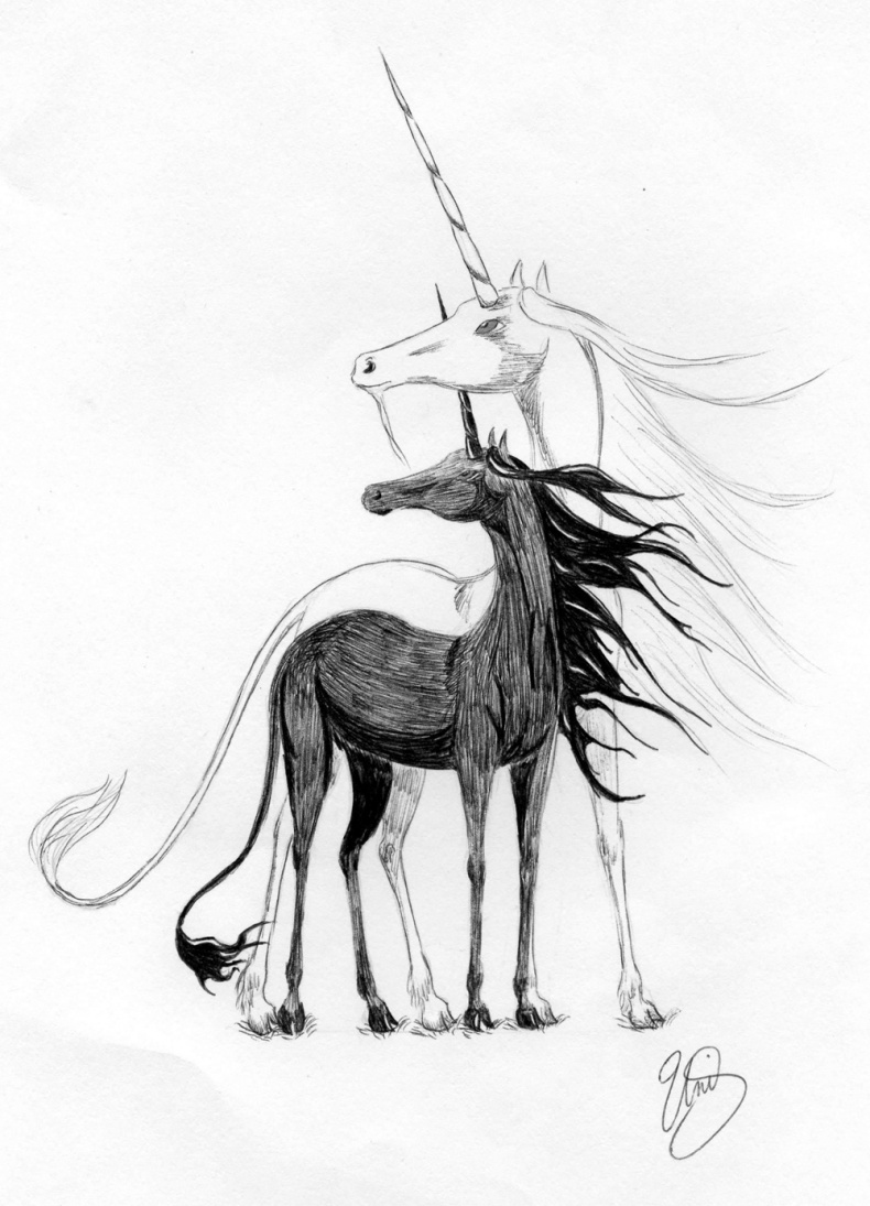 Иллюстрация к книге — Белая ворона [_9.jpg]