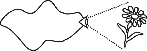 Иллюстрация к книге — Наедине с миром [_3.jpg]