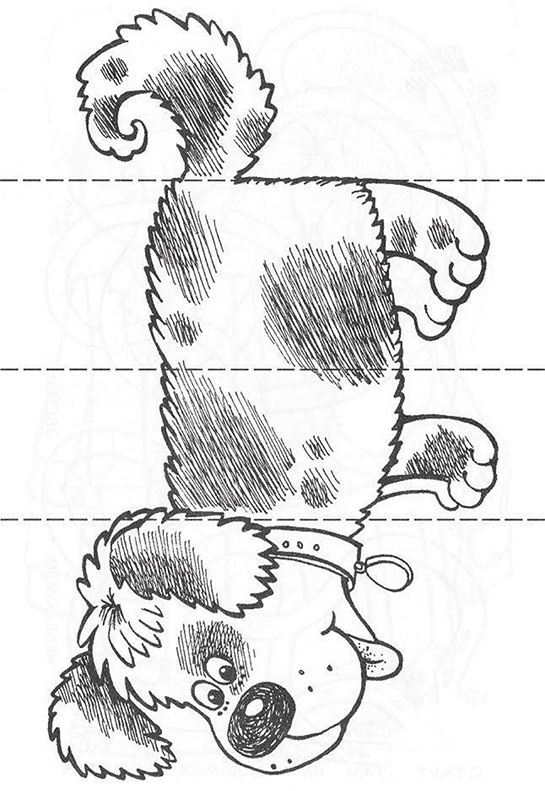 Иллюстрация к книге — Практические материалы для работы с детьми 3–9 лет. Психологические игры, упражнения, сказки [i_015.jpg]