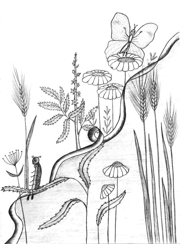 Иллюстрация к книге — Из гусеницы в бабочку. Психологические сказки, притчи, метафоры в индивидуальной и групповой работе [_043_4.jpg]