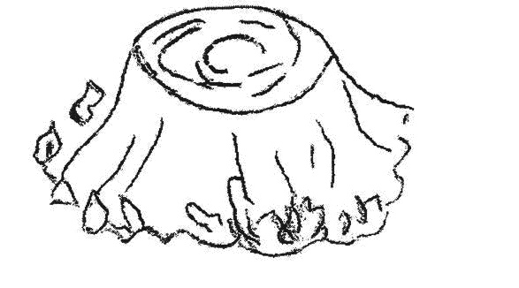 Иллюстрация к книге — Из гусеницы в бабочку. Психологические сказки, притчи, метафоры в индивидуальной и групповой работе [_167_1.jpg]