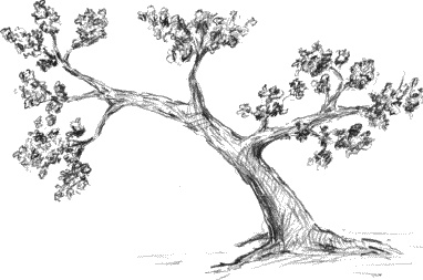 Иллюстрация к книге — Школьная тревожность. Причины, следствия и профилактика [_093_3.jpg]