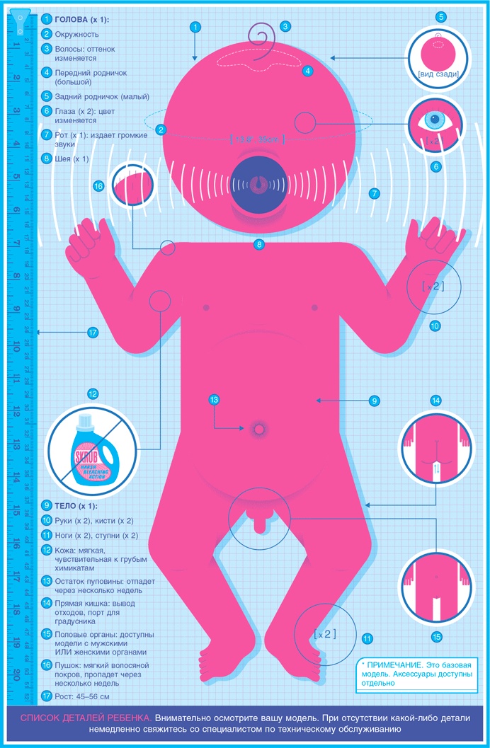 Иллюстрация к книге — Младенец. Руководство пользователя: Инструкция по эксплуатации, рекомендации по устранению неисправностей, советы по первому году технического обслуживания [i_004.jpg]