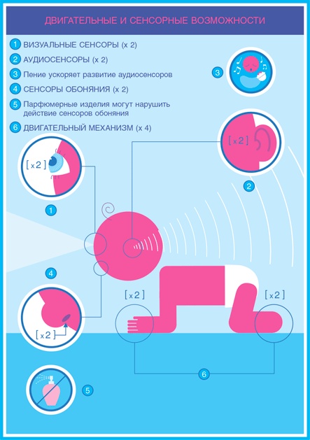 Иллюстрация к книге — Младенец. Руководство пользователя: Инструкция по эксплуатации, рекомендации по устранению неисправностей, советы по первому году технического обслуживания [i_049.jpg]