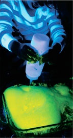 Иллюстрация к книге — Дома весело! Развивающие игры для самых маленьких [i_058.jpg]