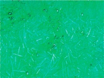 Иллюстрация к книге — Дома весело! Развивающие игры для самых маленьких [i_108.jpg]