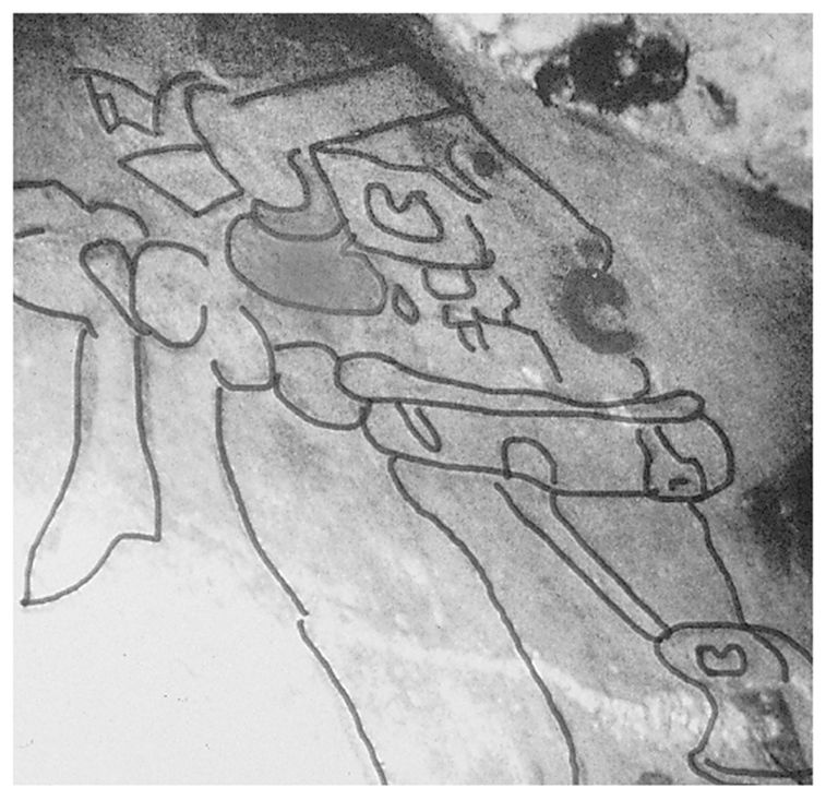 Иллюстрация к книге — 39 ключей. Обратный отсчет [i_003.jpg]