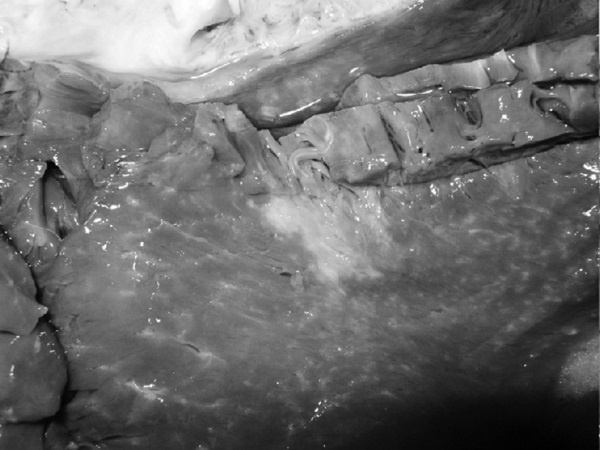 Иллюстрация к книге — Маломобильный пациент [i_002.jpg]