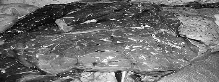 Иллюстрация к книге — Маломобильный пациент [i_007.jpg]