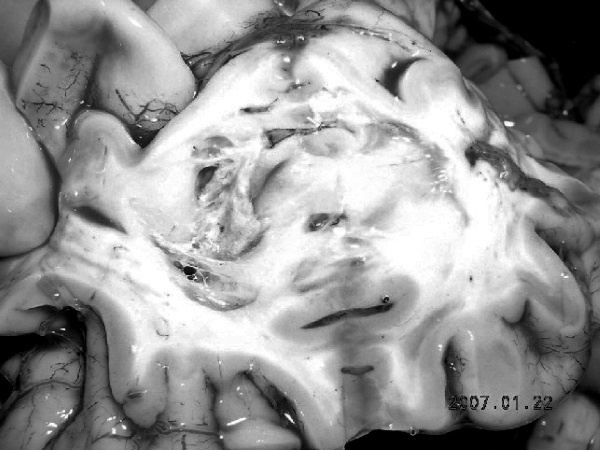 Иллюстрация к книге — Маломобильный пациент [i_041.jpg]