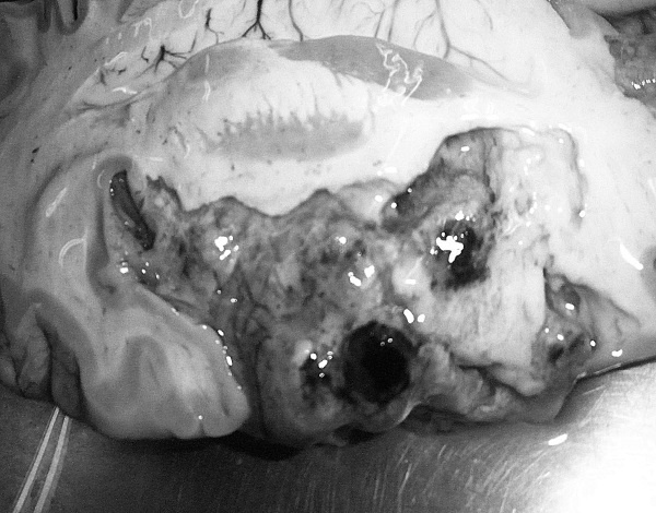 Иллюстрация к книге — Маломобильный пациент [i_048.jpg]