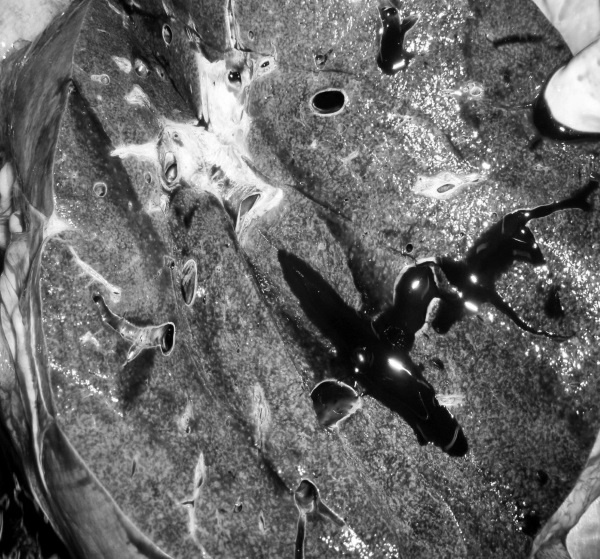 Иллюстрация к книге — Маломобильный пациент [i_051.jpg]