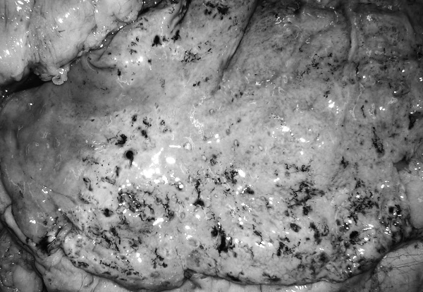 Иллюстрация к книге — Маломобильный пациент [i_052.jpg]