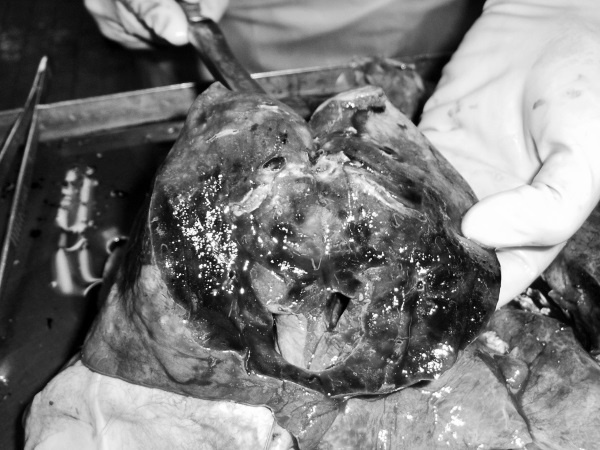 Иллюстрация к книге — Маломобильный пациент [i_057.jpg]